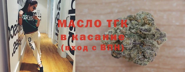 spice Инта