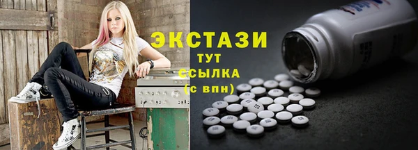 spice Инта