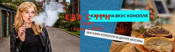 spice Инта