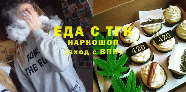 spice Инта
