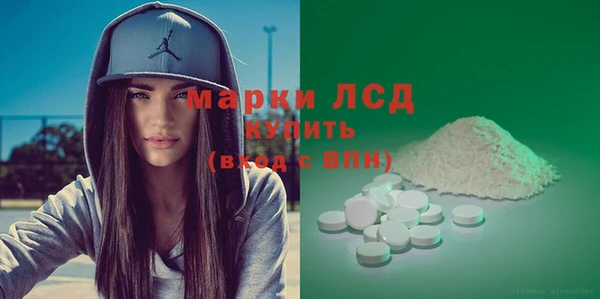 spice Инта