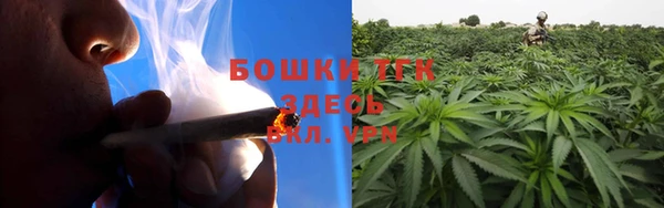spice Инта