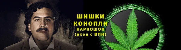 spice Инта