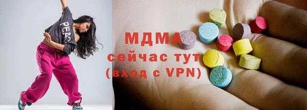 spice Инта