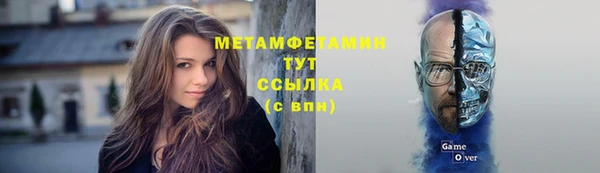 spice Инта