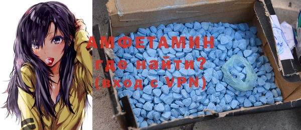 spice Инта