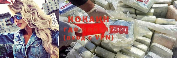 spice Инта