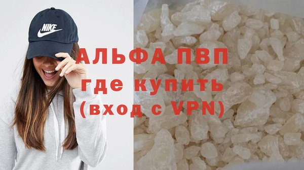 spice Инта