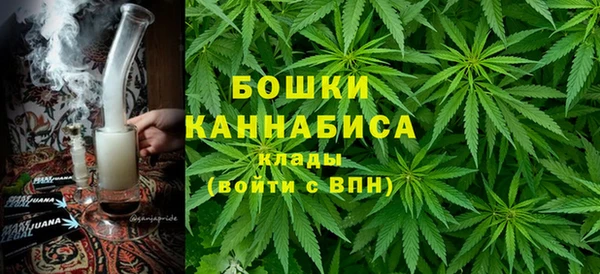 амф Инсар